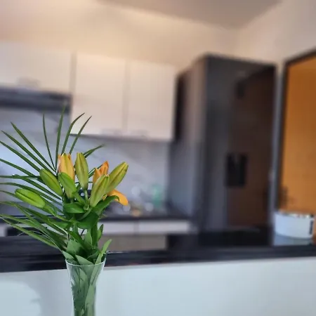 Apartment Avantgarde *